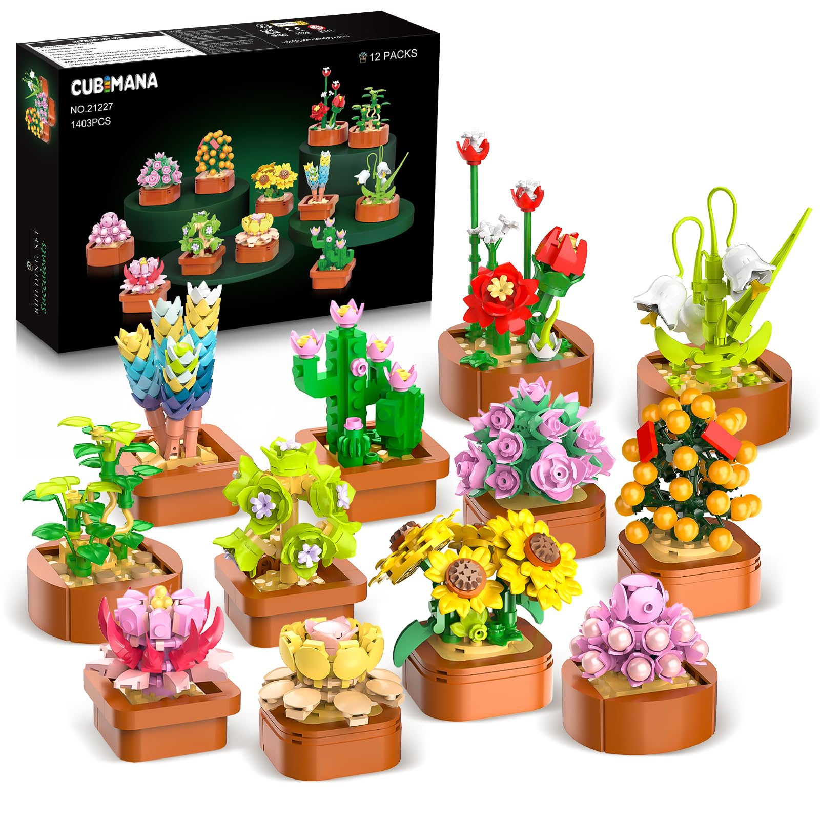CUBIMANA 12er Blumen Botanicals Mini-Bauset für Mädchen Erwachsene
